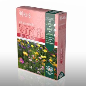 RHS Flowers Mix For Wildlife - Bright
